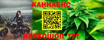 индика Пугачёв