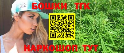индика Пугачёв
