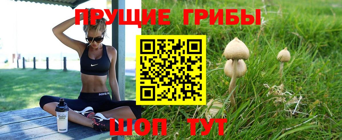 Псилоцибиновые грибы GOLDEN TEACHER Саранск